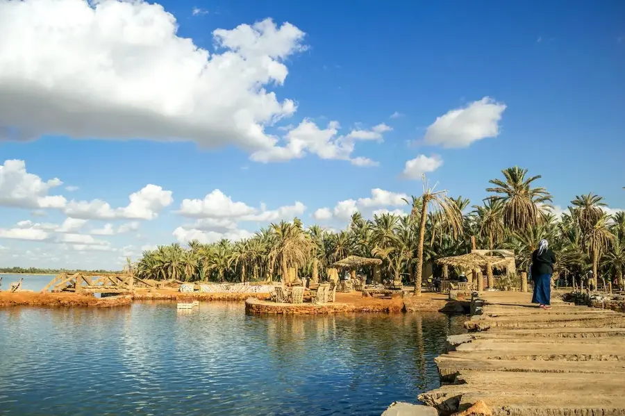Siwa Oasis and White Desert Tour